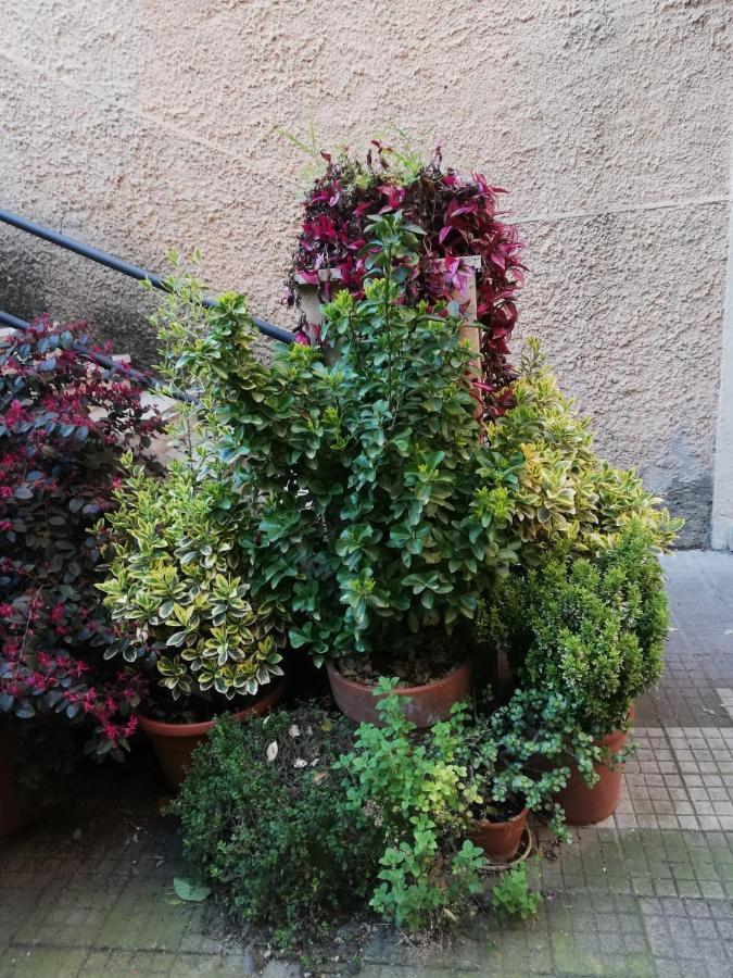 Tra Gianicolo E Trastevere Rzym Zewnętrze zdjęcie