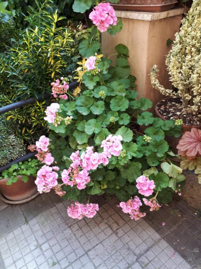 Tra Gianicolo E Trastevere Rzym Zewnętrze zdjęcie